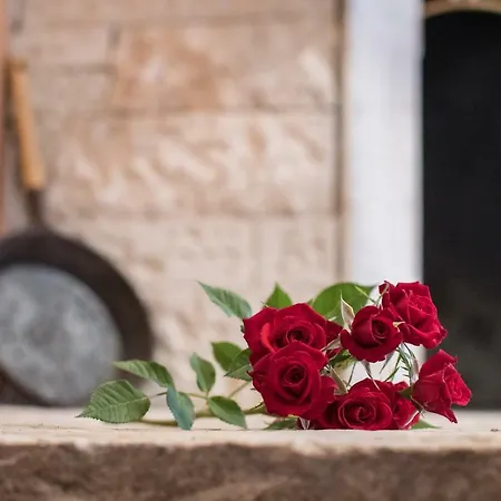 Stari Kesten Appartement *