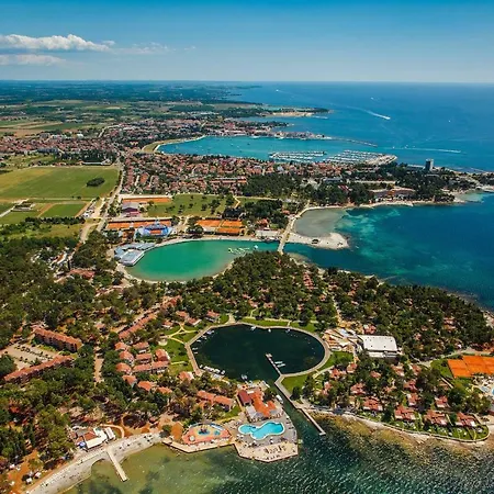 Apartment Stari Kesten *