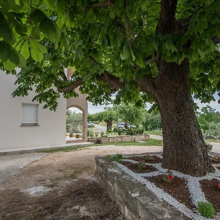 Stari Kesten 우마그