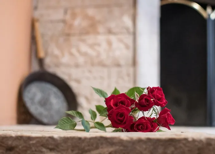 Stari Kesten 아파트 *